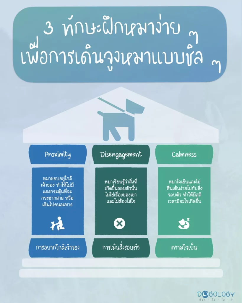 การฝึกหมาเดินสายจูง