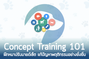 Mindset Training 101: ฝึกหมาปรับมายด์เซ็ต แก้ปัญหาพฤติกรรมอย่างยั่งยื่น