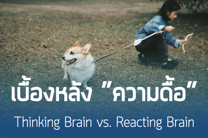 Thinking in Arousal: เบื้องหลังสิ่งที่ดูเหมือนความดื้อ